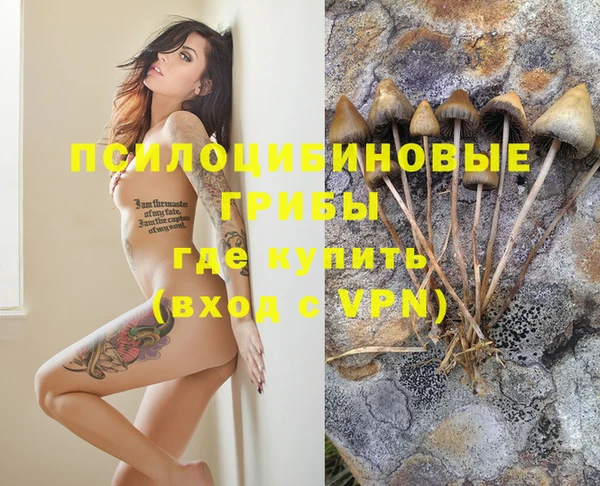 а пвп мука Алексеевка
