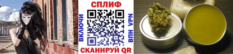hydra зеркало Тосно даркнет официальный сайт Бошки марихуана White Widow
